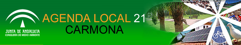 logo ciudad 21