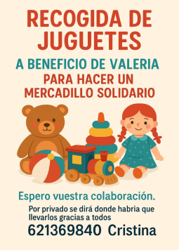 RECOGIDA DE JUGUETES A BENEFICIO DE VALERIA